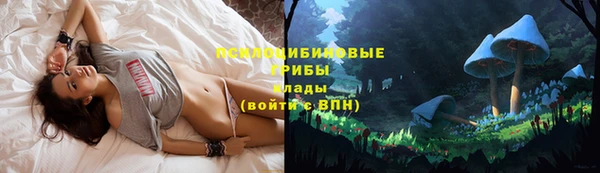 ECSTASY Абдулино