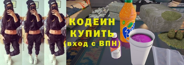 шишки Переславль-Залесский