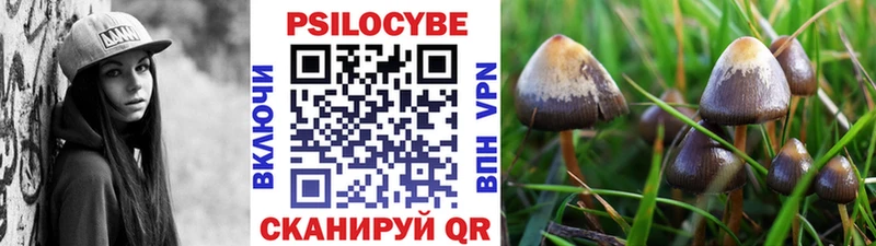 кракен зеркало  Заринск  Псилоцибиновые грибы Cubensis 